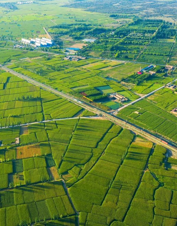 河西走廊，如何成為擊敗旱魔的鬥士？