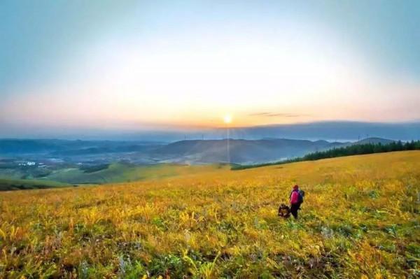 講真！今天出遊最明智，不堵！且為您選好了路線……