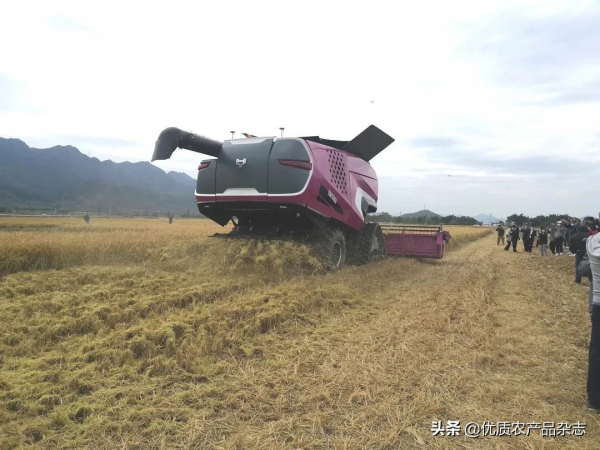 碧桂園又有大動作!自主研發無人拖拉機收穫機亮相演示,無人化農場概念落地成真 碧桂園又有大動作!自主研發無人拖拉機收穫機亮相演示,無人化農場概念落地成真