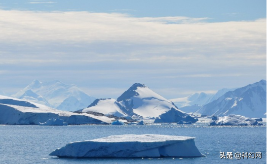 南極新的生命體沒有食物來源卻存活千年 南極新的生命體沒有食物來源卻存活千年