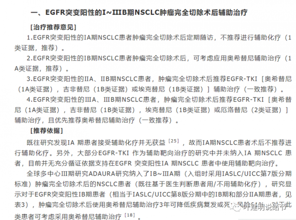 個人觀點：Ⅰ期NSCLC完全切除術後輔助治療分層建議（個人版）