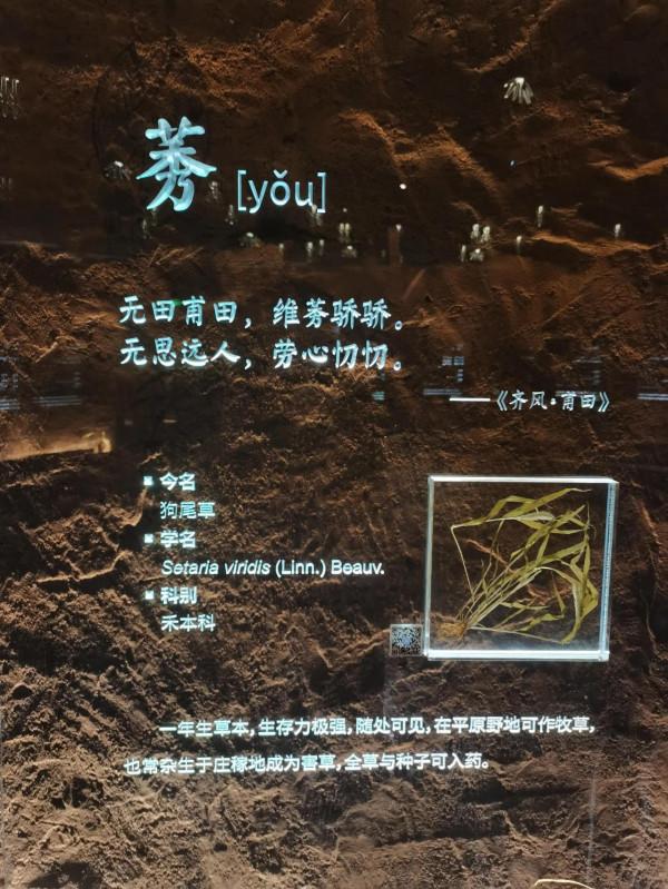 北京世園公園中國館