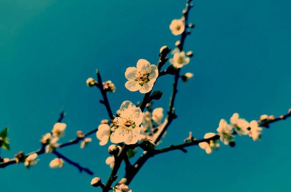 剛剛跨省遊恢復，廣東4大名山，您去過幾個嗎？