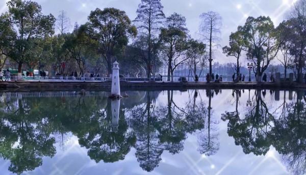 公園的鴿子會飛丟嗎？