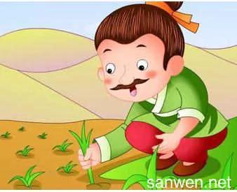 今日讀書日記之八——是拔苗助長還是揠苗助長 今日讀書日記之八——是拔苗助長還是揠苗助長