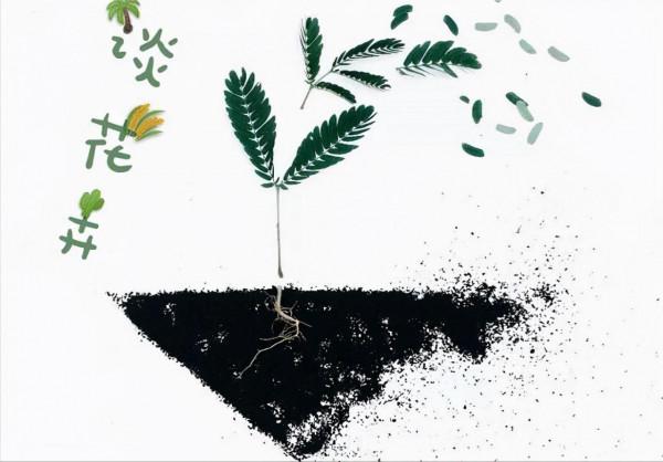 15種室內常見花卉的養護要點,小編養花多年的經驗,趕緊收藏吧 15種室內常見花卉的養護要點,小編養花多年的經驗,趕緊收藏吧