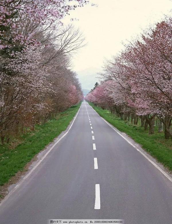 特別漂亮的路風景分享