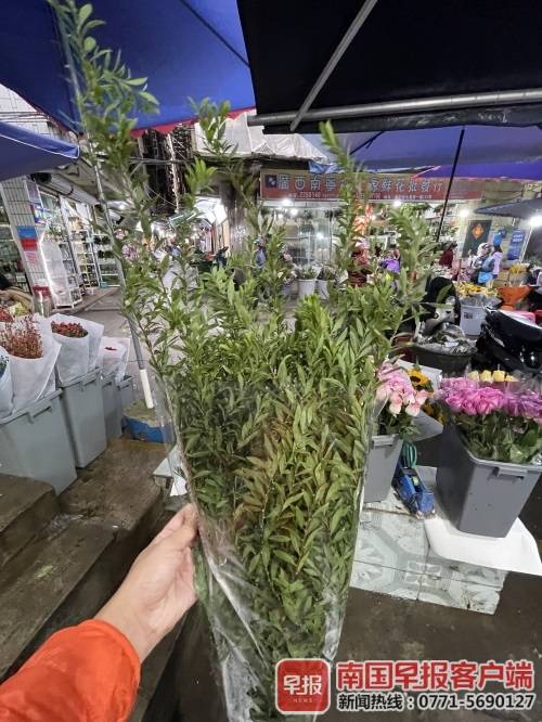 小心中毒!果實類花材雖好看,孩子寵物誤食有風險 小心中毒!果實類花材雖好看,孩子寵物誤食有風險