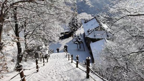 會養生·來崆峒 | 雪後初晴，此刻崆峒山“花”開遍野