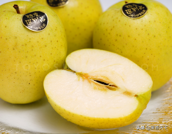 除了紅富士,種哪些品種能發財?這個論壇告訴你答案 除了紅富士,種哪些品種能發財?這個論壇告訴你答案