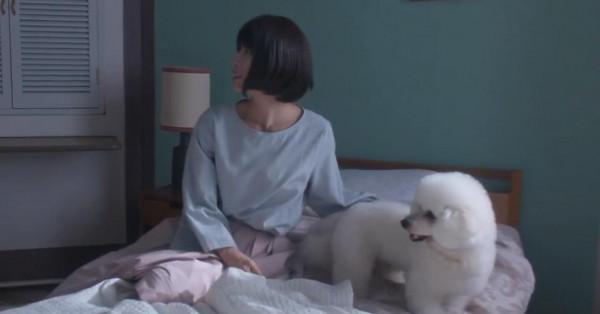 33歲乖乖女罹患癌症，隻身來小島度餘生：一本探尋生命真諦的小說