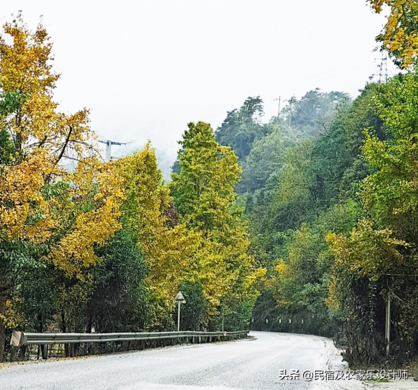 為什麼83%的休閒民宿不賺錢? 為什麼83%的休閒民宿不賺錢?