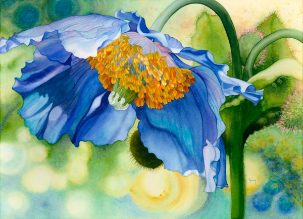 55歲拿起畫筆,成為最懂花的女人!筆下絢爛唯美的水彩花卉太美了 55歲拿起畫筆,成為最懂花的女人!筆下絢爛唯美的水彩花卉太美了