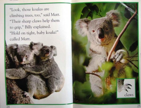 兒童英語科學啟蒙繪本DK Readers分級讀物DK pre--level 4