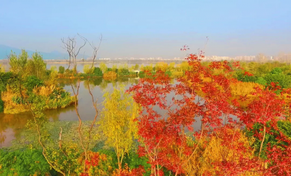 美成故事！這條路用紅、黃、藍三色驚豔了冬日時光