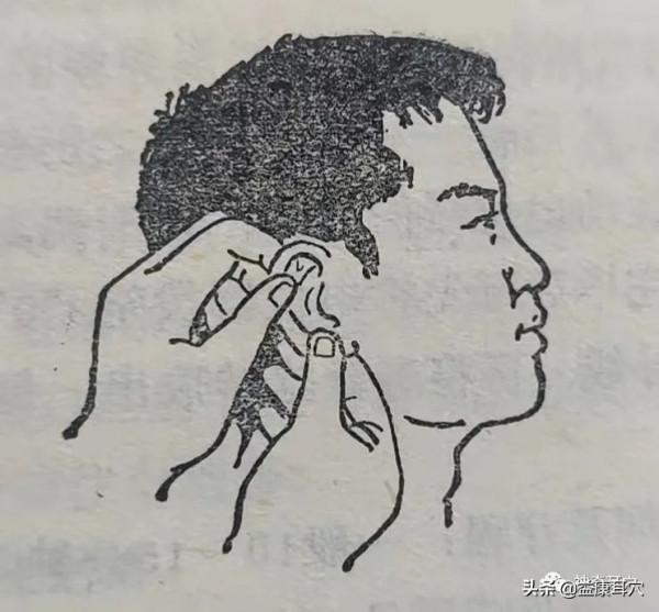 益康耳穴：耳廓穴位按摩，養護身體