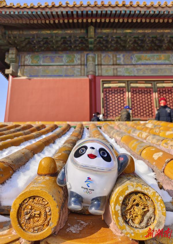 圖集｜&OpenCurlyDoubleQuote;頂流&rdquo;遇&OpenCurlyDoubleQuote;頂流&rdquo;，元宵節冰墩墩遊故宮