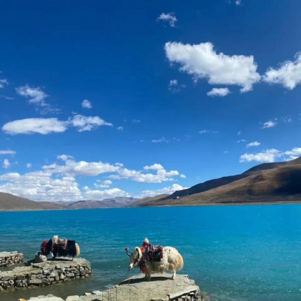 2021年10月21日，秋季的羊湖是很美的