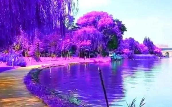 分享圖片——世界上罕見的風景