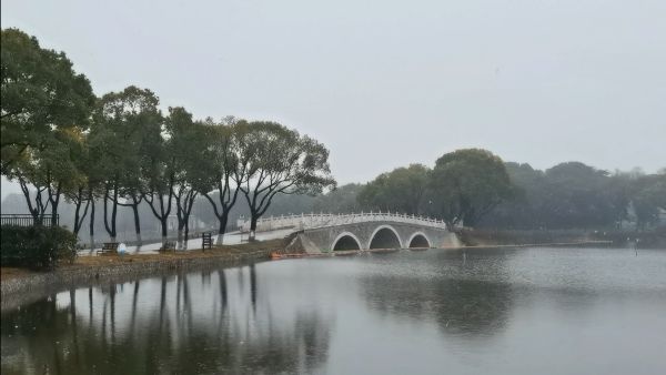 斑馬甩一甩鬃毛上的白雪，濺起一串小雪花