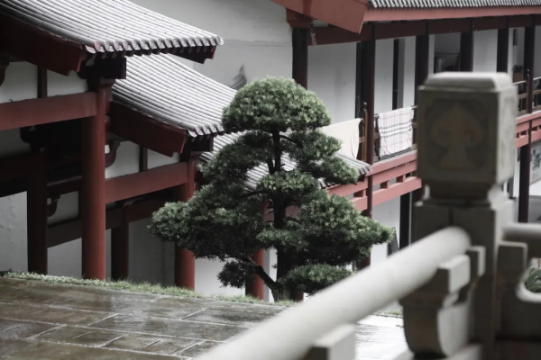 別再說什麼小京都了，寧波這些寺廟來打臉了