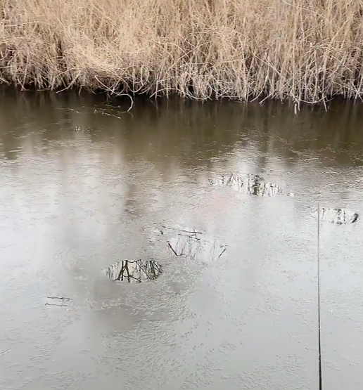 冰面凍不牢,照樣可以釣,七星漂釣冰洞證明傳統釣作釣範圍大於臺釣