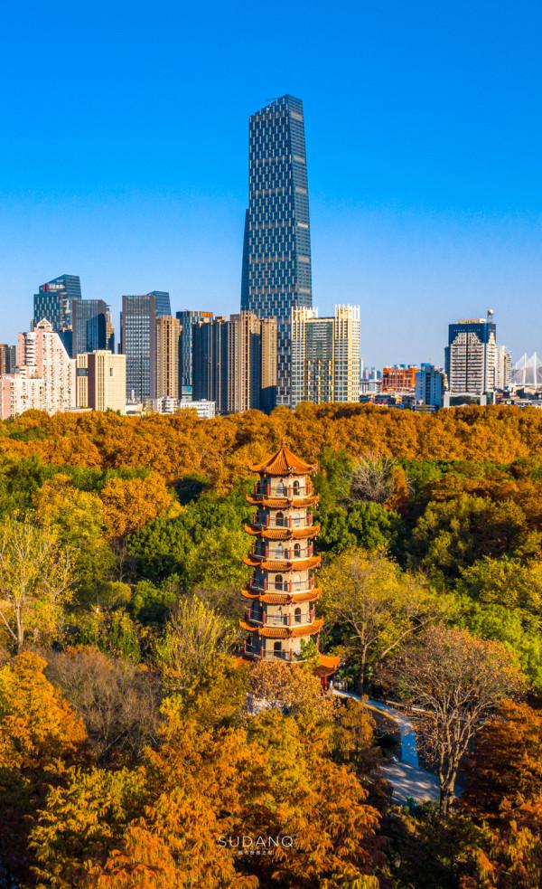 武漢人究竟多愜意?46萬平方米的城市公園猶如森林一般,景色醉人 武漢人究竟多愜意?46萬平方米的城市公園猶如森林一般,景色醉人