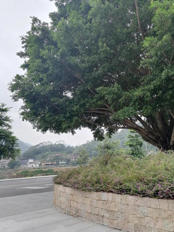 黃金溝風景區外面的一個小鎮 黃金溝風景區外面的一個小鎮