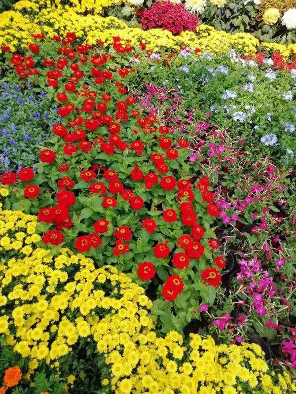 國慶古鎮遊 國慶古鎮遊