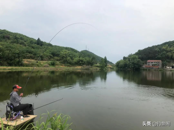 釣到大魚總是“拔河”？記住這3個步驟，大大地減少跑魚