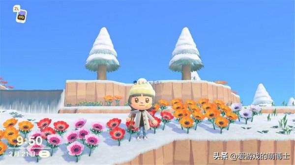 《動物森友會》中的島嶼條例是什麼？四種條例的具體效果是什麼？