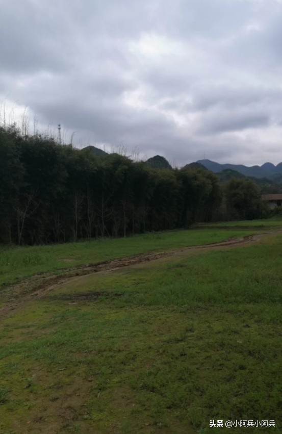 形態萬千的三峽景區,令人流連忘返 形態萬千的三峽景區,令人流連忘返