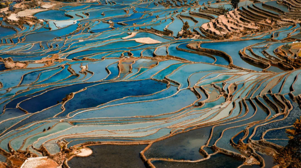 雲南恢復跨省遊！2021年最後兩週，我們該去雲南看看另一種冬天