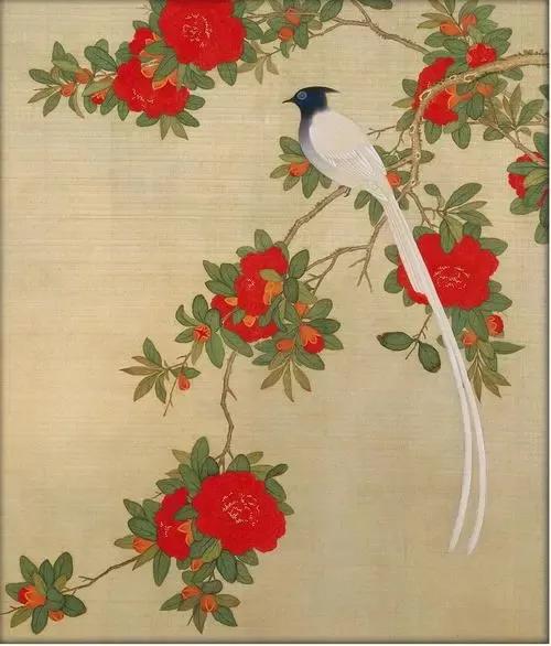 大自然的小精靈——花鳥