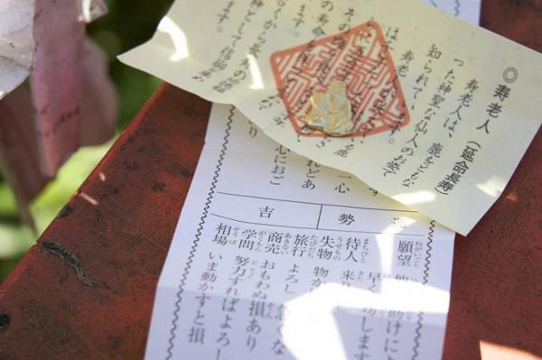 「日本」九州中部久留米-熊本-天草四日之旅