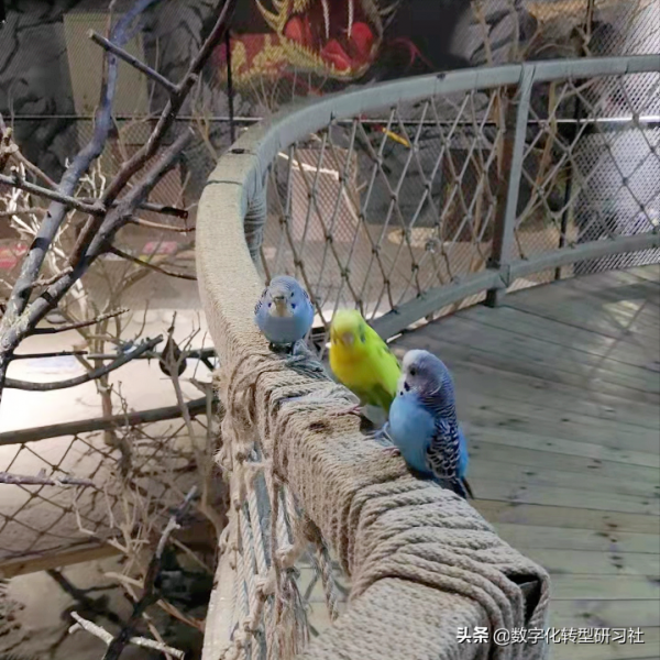 寒冬溜娃好去處-強推西遊王國