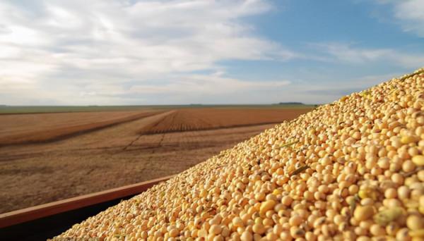 美國人為何越窮越胖？這就是美國食物的生產方式，看吐了！紀錄片