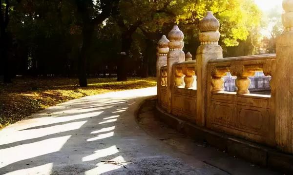 未來2個月,這些地方將美成天堂!再一場旅行,2021才完美 未來2個月,這些地方將美成天堂!再一場旅行,2021才完美