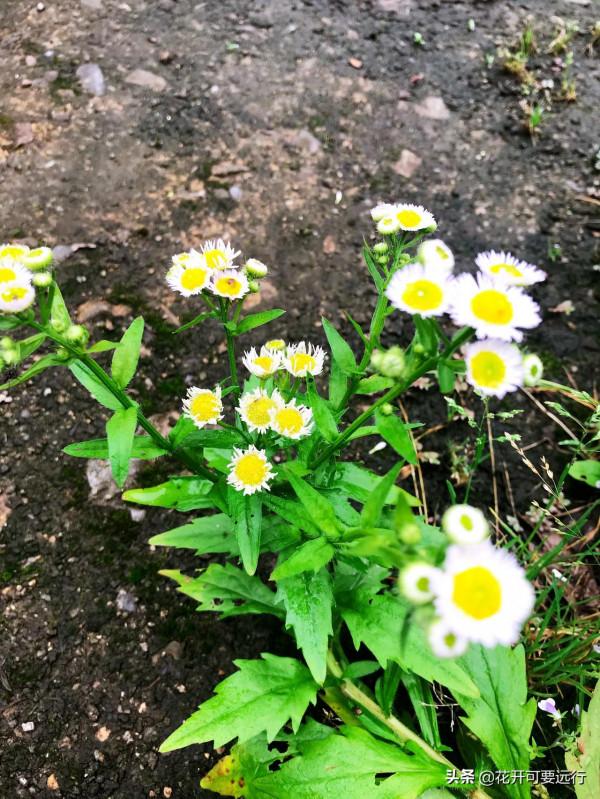 人生很短，天涯很遠，2022如若疫情淡去，唯旅行美食不可負也？