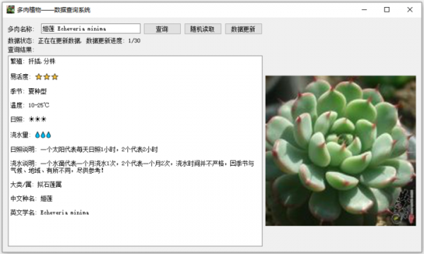 送女朋友的最佳綠植，女生見了都愛養! 附：應該是都能養活的—吧?