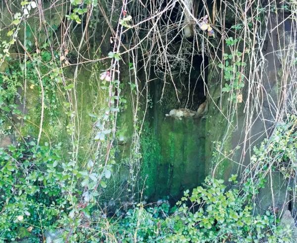 羅馬士兵解甲歸田之感在這裡油然而生