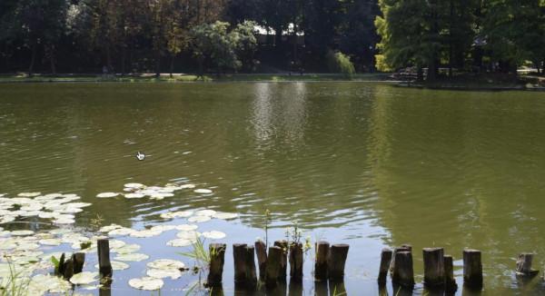 冬季出釣，哪些地方有魚窩不一定準確，但這三個地方一定沒有魚窩