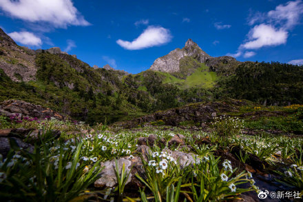 走進世界的香格里拉 走進世界的香格里拉