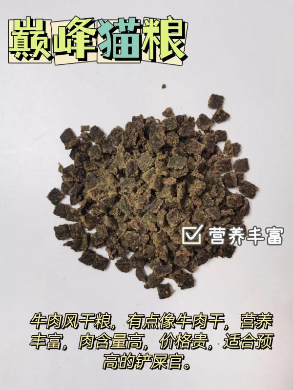 別再踩雷了，貓咪承受不了你折騰還不會選貓糧？
