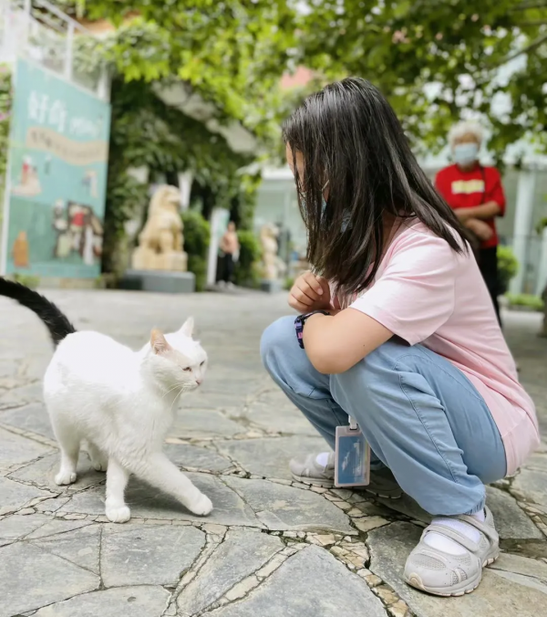 岳家槍和楊家槍能區分了嗎？