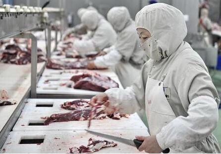 看這一篇就夠了!小聘解析勞務現狀以及發展趨勢 看這一篇就夠了!小聘解析勞務現狀以及發展趨勢