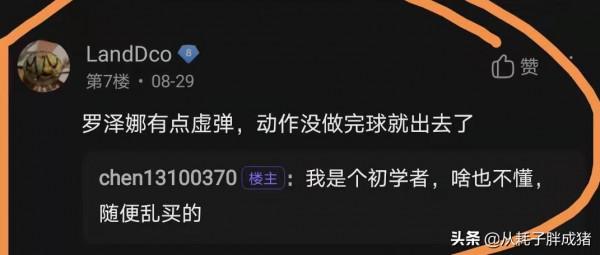 簡單聊聊蝴蝶Rozena套膠的體驗 簡單聊聊蝴蝶Rozena套膠的體驗