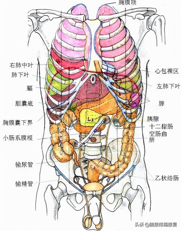 關於這七個引起背痛的姿勢,可能你每天都在做 關於這七個引起背痛的姿勢,可能你每天都在做