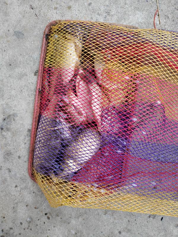 這就是菜地的魅力，夠野、夠暴力