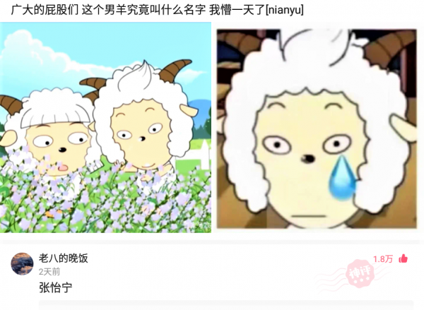 神回覆：算命先生給我改的名字，現在每天被打十次，三十歲還單身